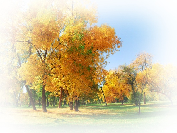 Осенний пейзаж на прозрачном фоне