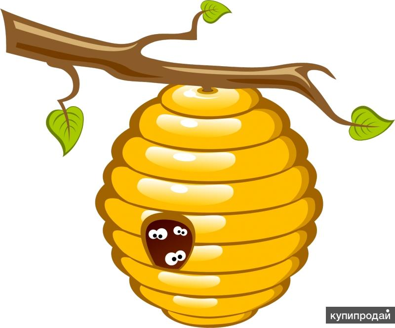 Улей с пчелами рисунок