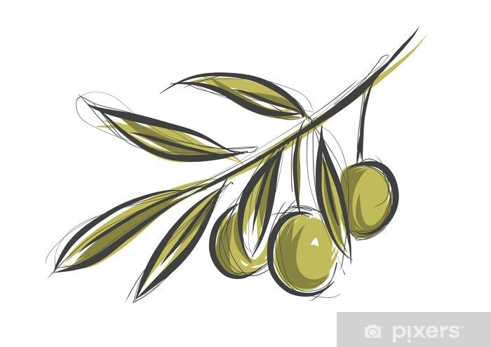 Веточки оливы