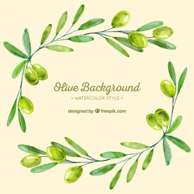 Веточка оливки