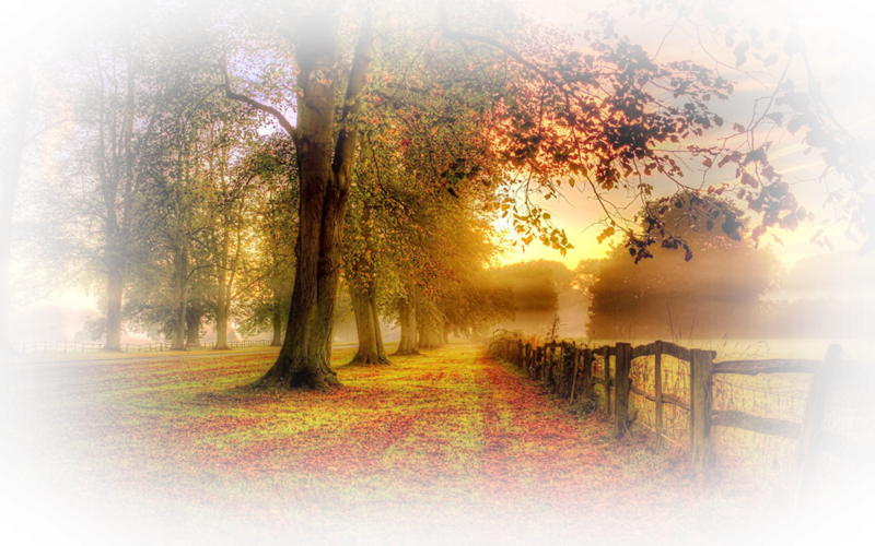 Осенний пейзаж