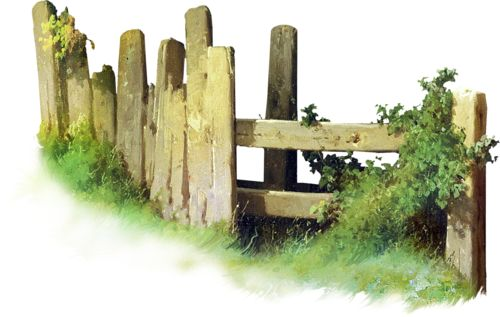 Старый забор