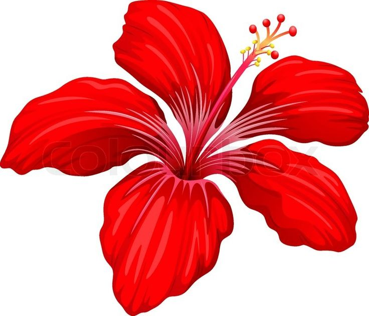 Аленький цветочек вектор