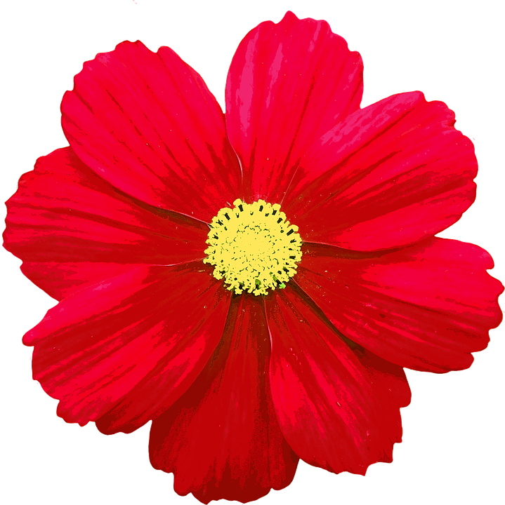 Цветочки мультяшные