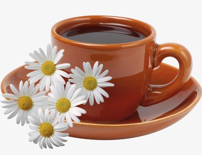 Доброе утро на прозрачном фоне