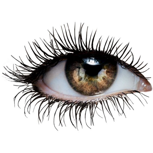 Женские глаза на белом фоне