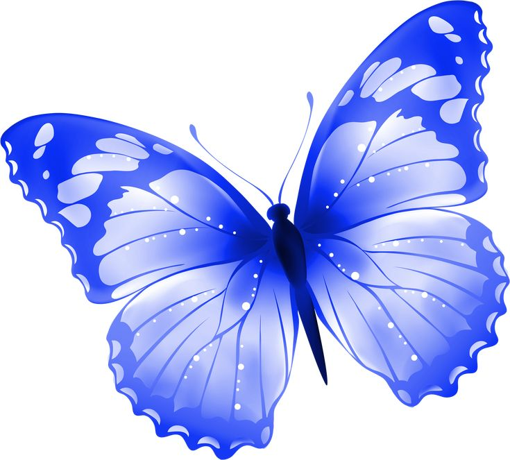 Голубая бабочка на прозрачном фоне