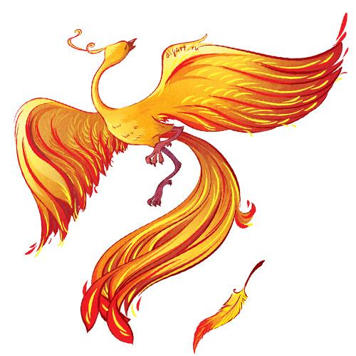 Жар птица на белом фоне