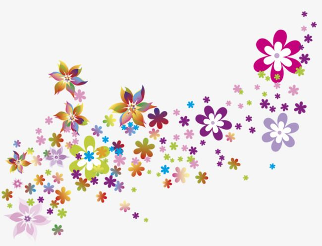 Россыпь цветов на прозрачном фоне