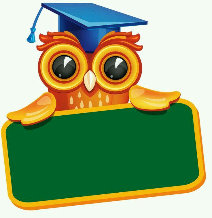 Школа 147 новая Охта