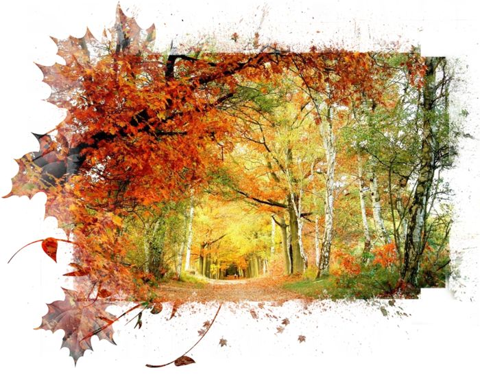 Осенний клипарт на прозрачном фоне