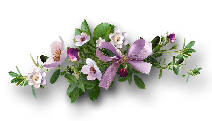 Цветы горизонтальные