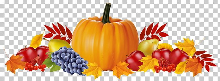 Осенние фрукты на прозрачном фоне