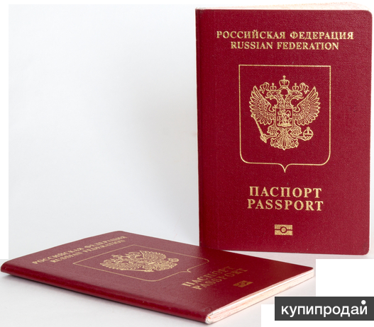 Паспорт на прозрачном фоне