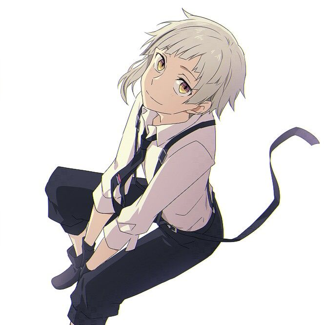 Ацуши Накаджима рост