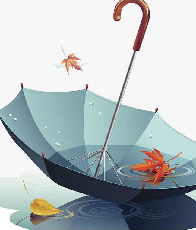 Осенний зонтик на прозрачном фоне