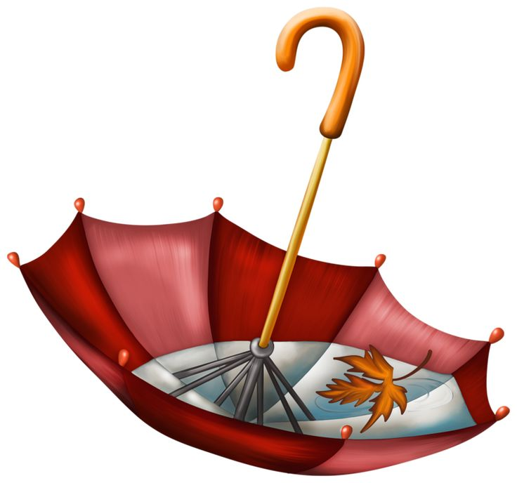 Осенний зонтик на прозрачном фоне