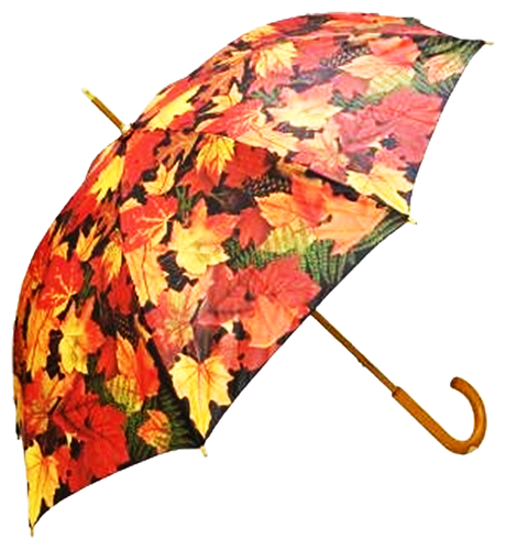 Зонт с кленовыми листьями