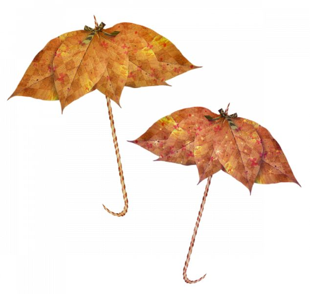 Зонтик из осенних листьев