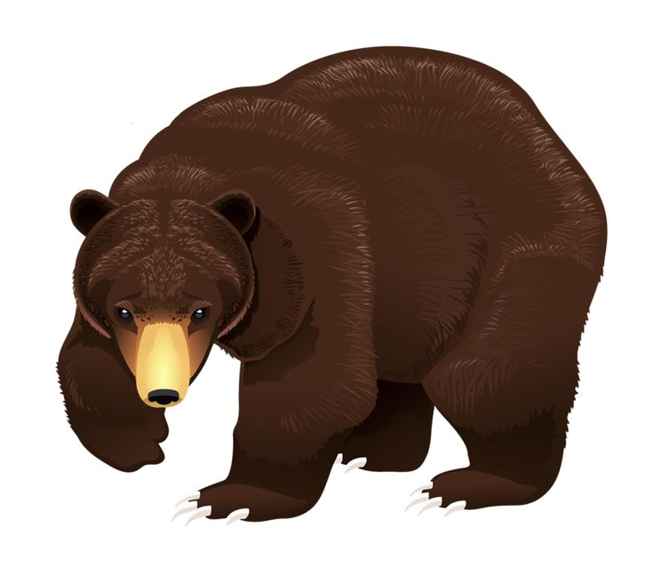 Медведь мультяшный