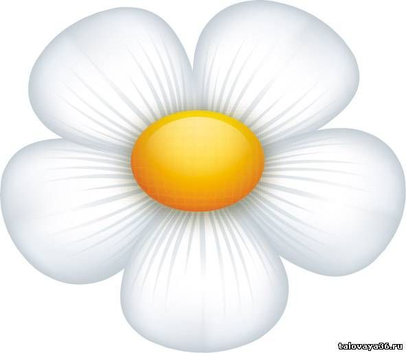Ромашка рисунок