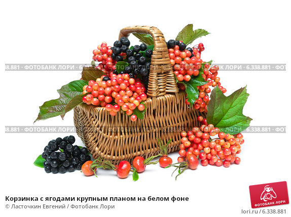 Ягоды в лукошке