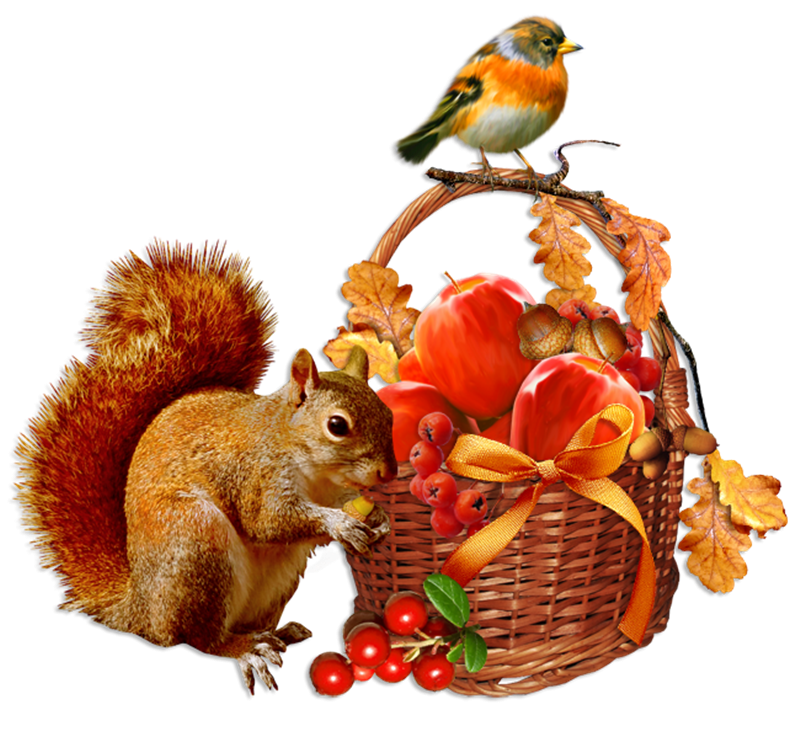 Белочка с корзинкой