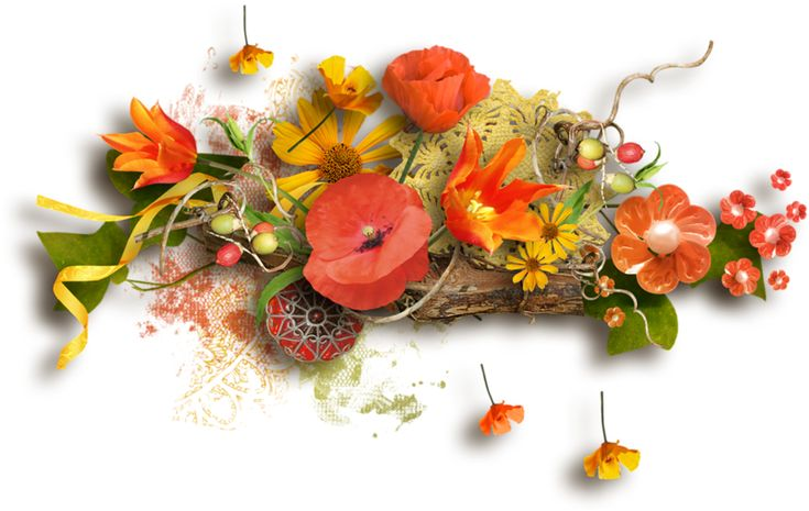 Осенний кластер