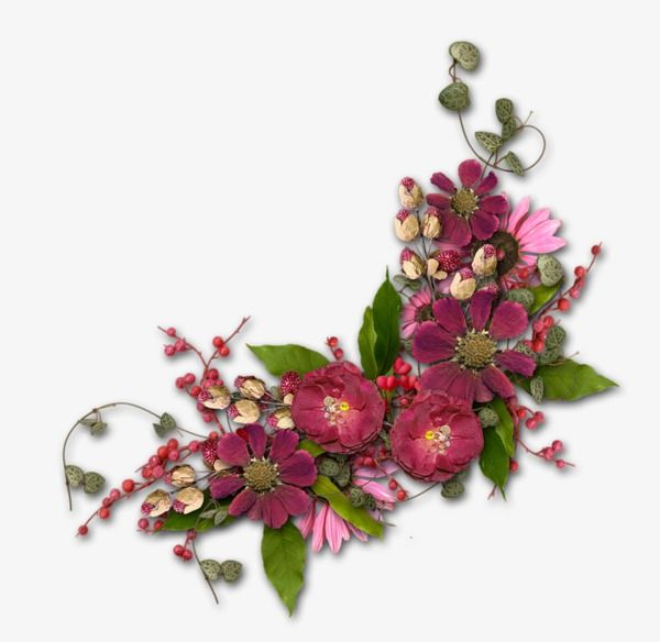 Цветы на прозрачном фоне