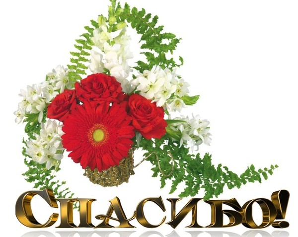 Букет без фона