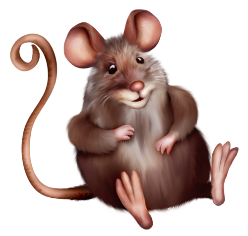 Крыса на белом фоне