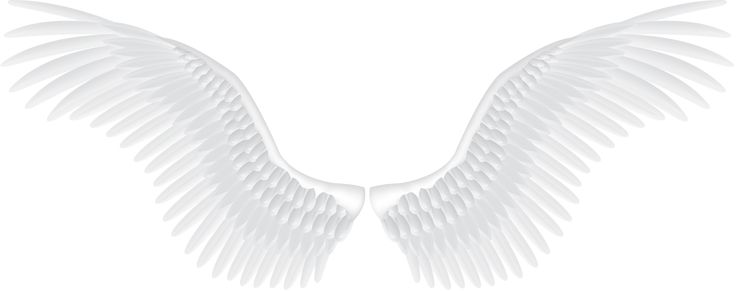 Крылья ангела