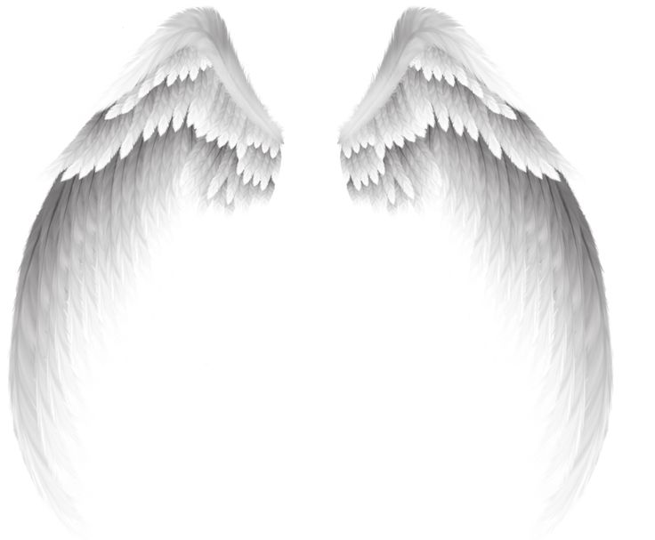 Крылья на прозрачном фоне
