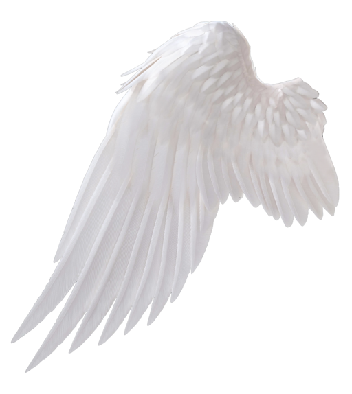 Крылья ангела на прозрачном фоне