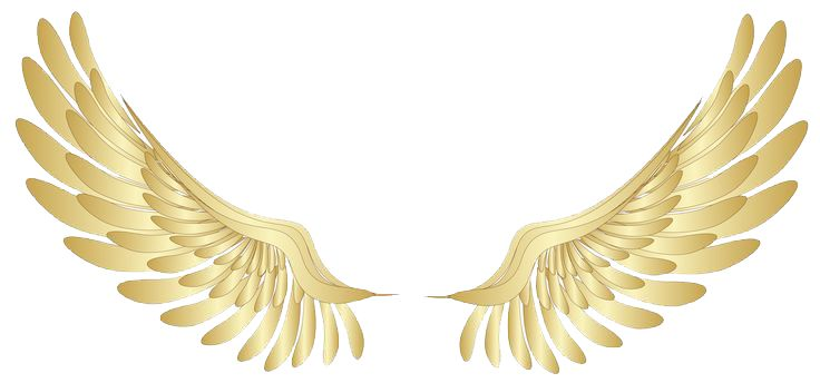 Крылья ангела