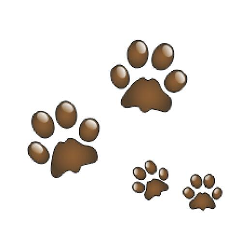 Кошачьи лапки следы