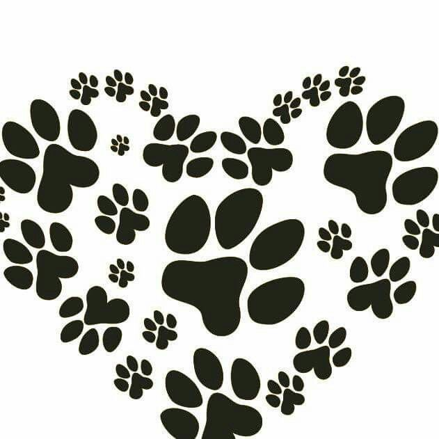 Отпечаток лапки кота