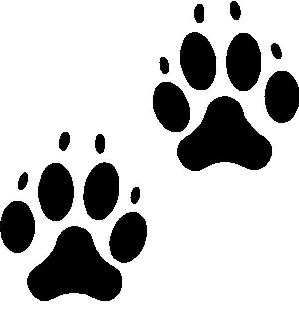 След собаки