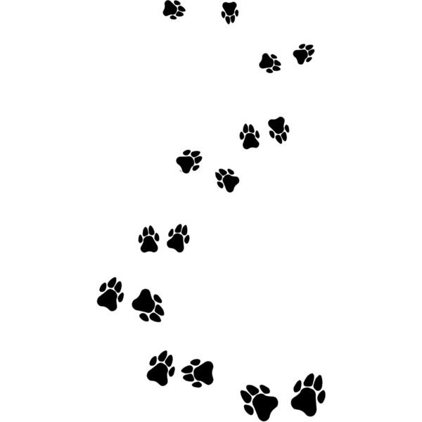 Собачьи следы