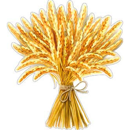 Снопик пшеницы
