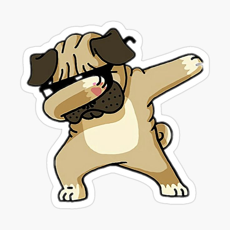 Смешные Стикеры