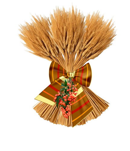 Сноп пшеницы