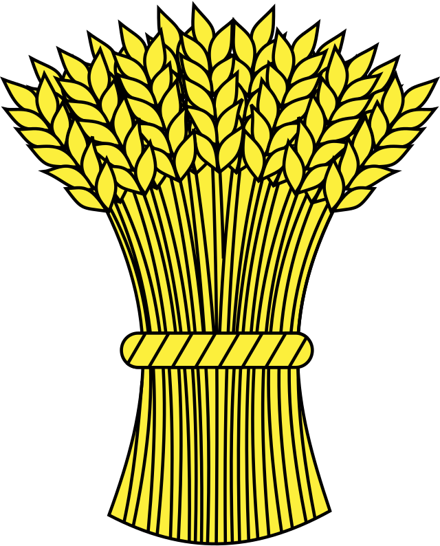 Колоски пшеница вектор сноп