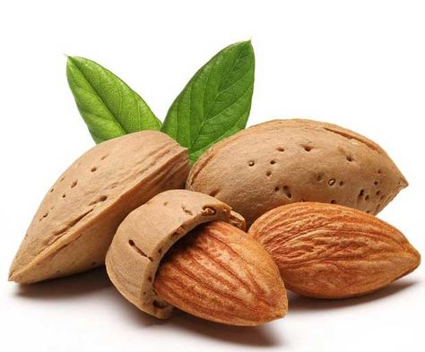 Миндаль Бухарский