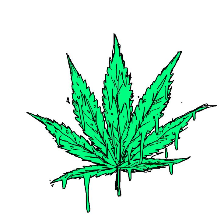 Конопля без фона