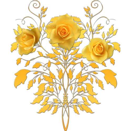 Цветы на прозрачном фоне