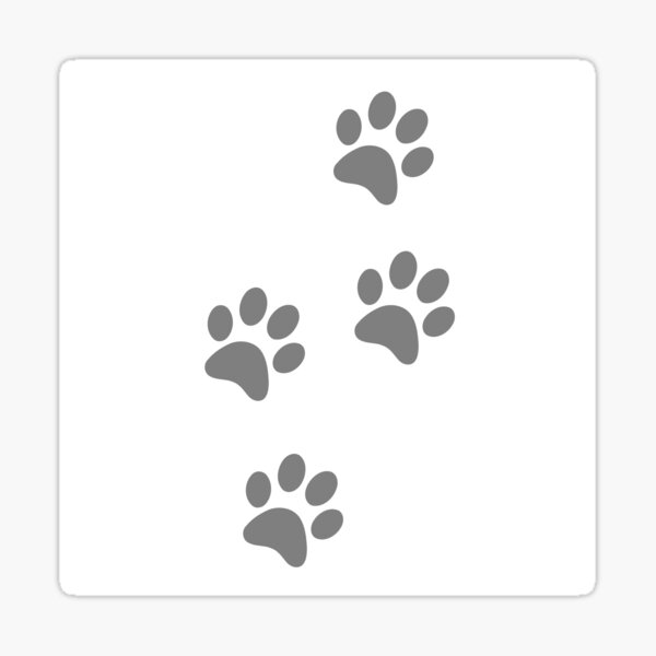 Следы кошачьих лап