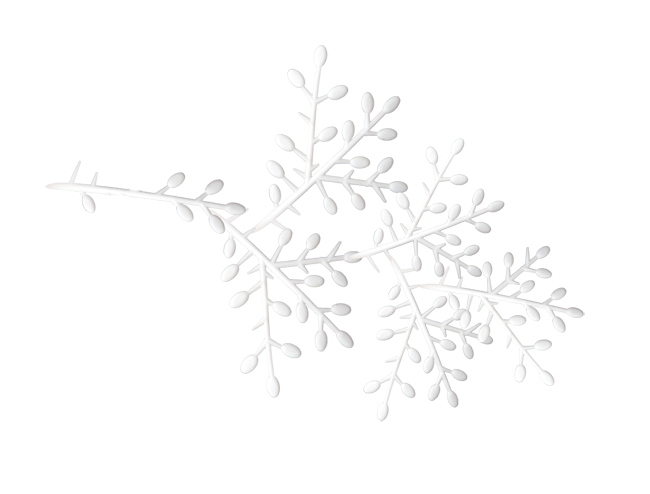 Белые веточки