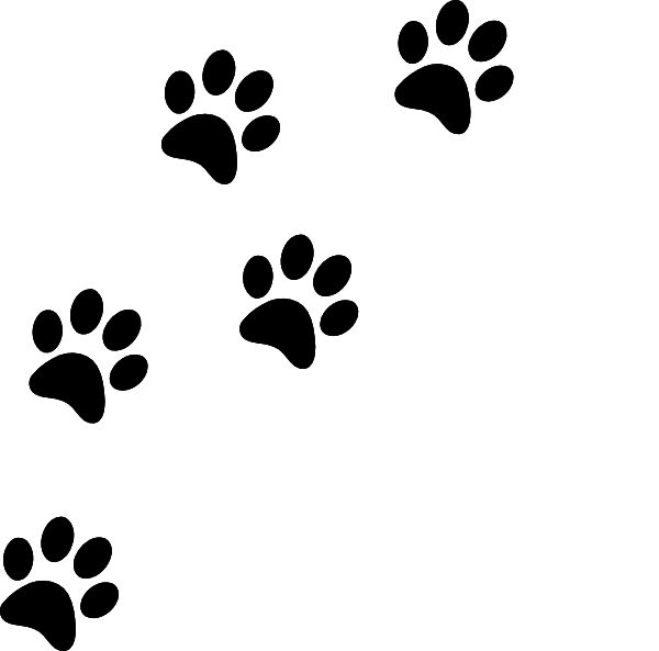 След собаки