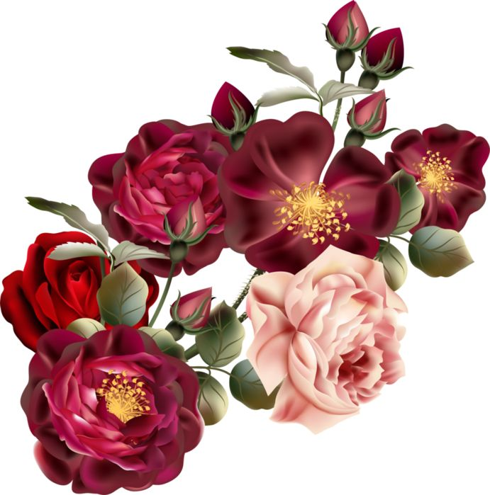 Цветочки на прозрачном фоне